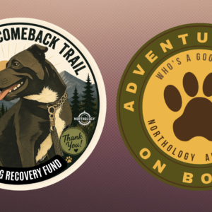 Rayne's Recovery Fund Stickers