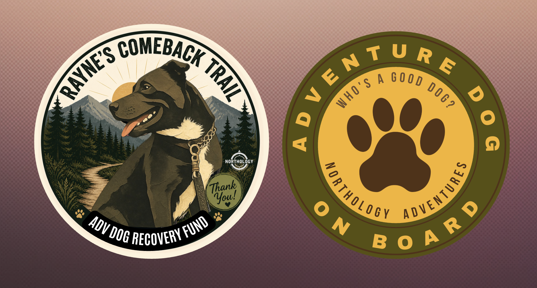 Rayne’s Recovery Fund Stickers